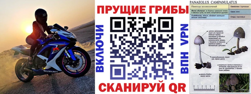 даркнет сайт  Малмыж  ссылка на мегу как зайти  Псилоцибиновые грибы ЛСД 